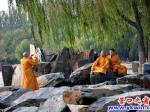 濱城風光美如畫，僧出寺門游金秋