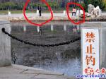 植物園“禁止垂釣”成擺設