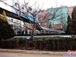 營口大學過街天橋不得法