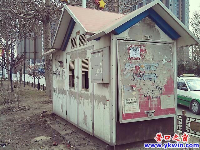 變壓箱“兼職”貓狗安樂窩
