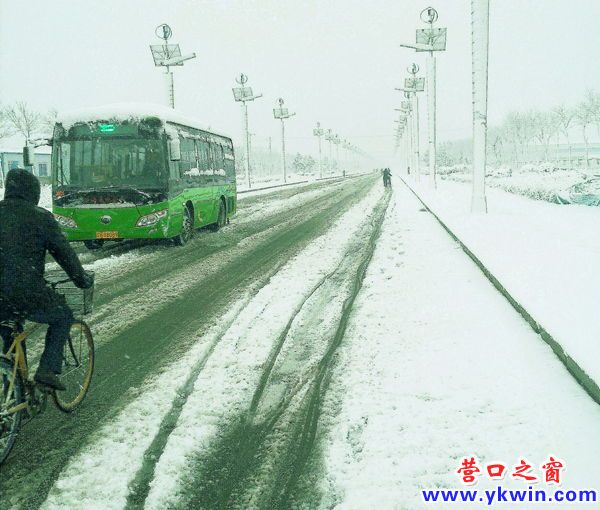 濱城飛雪帶春風