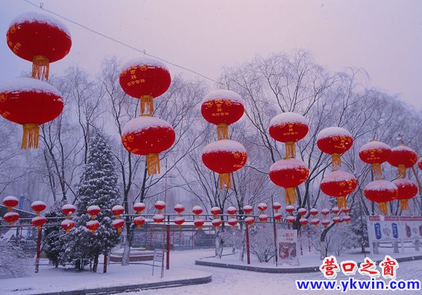 營口飛雪迎春到  銀裝素裹美濱城