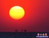 夕陽墜海1