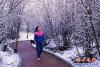 桃花雪花爭艷7