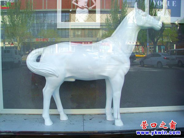 影樓新創意 養“馬”櫥窗里