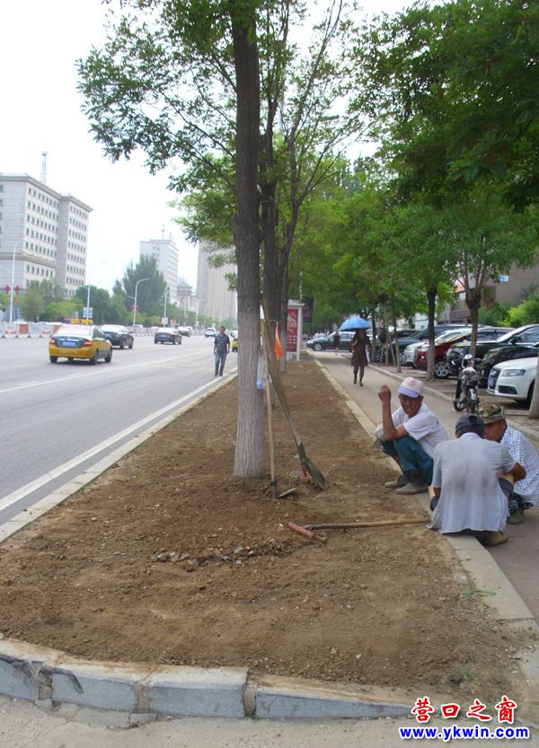 營口市渤海大街綠化帶回到荒漠帶