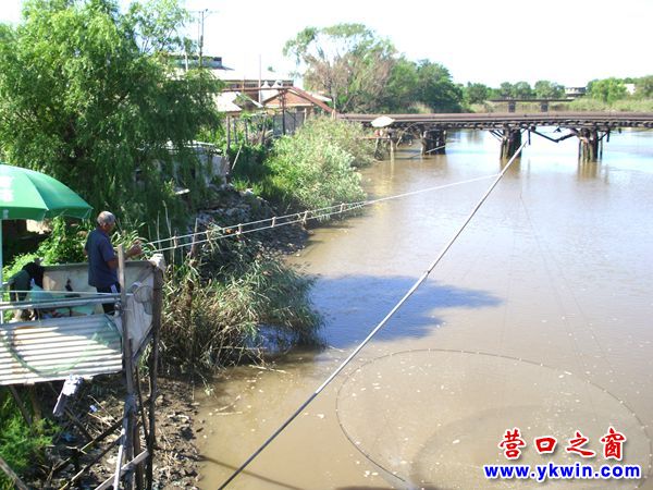 營口一景：河邊搭臺 搬網撈魚
