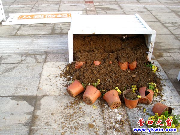 新式花柜側(cè)翻 花盆標(biāo)語(yǔ)落地