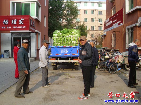 白菜市場(chǎng)飽和 兩毛一斤難嫁