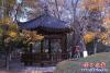 楞嚴寺3