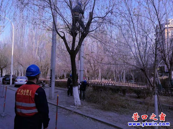 樹枝遮住高壓線  電力工人忙修剪