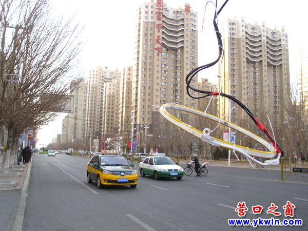 路邊樹(shù)上降飛碟，高度不到一米五