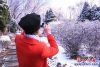 春雪6