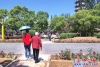 鋪設道板  方便游人1