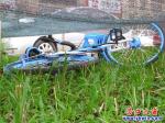 綠草上黑網下藍色單車睡大覺