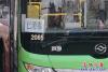 公交車(chē)1