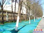 營口：防塵網春捂草坪 小草們盼望解放