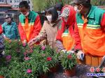 楞嚴寺公園：多彩花卉喜迎“五一”佳節