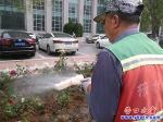 公共設施維護集團：大街花卉 “洗澡除塵”