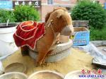 “驢”拉磨呼？磨拉“驢”呼！