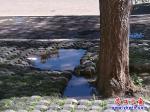 站前區(qū)：下水井蓋冒臟水 臭氣熏天誰來管？