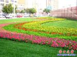 營口新嘗試：小區未建 花草先行
