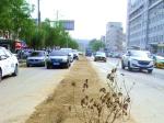 營口市道岔子兩條“手術(shù)”路（街）段停工亟待復工