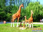 營(yíng)口市人民公園新增了八種不會(huì)動(dòng)的動(dòng)物