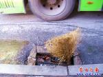 營口市2路公交車國貿站下水井欲吞乘客