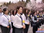 營口：清明祭英烈 鮮花獻英雄