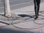 啥情況？人行道滿地都是電纜線