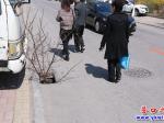 南海路：樹枝充當“警示牌”