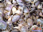 營口市路邊：騷夾子又現身了