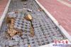 道路恢復暢通2