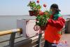 護(hù)欄花箱種鮮花 3
