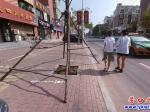 粗心！樹支撐架伸到路面 市民擔憂其安全