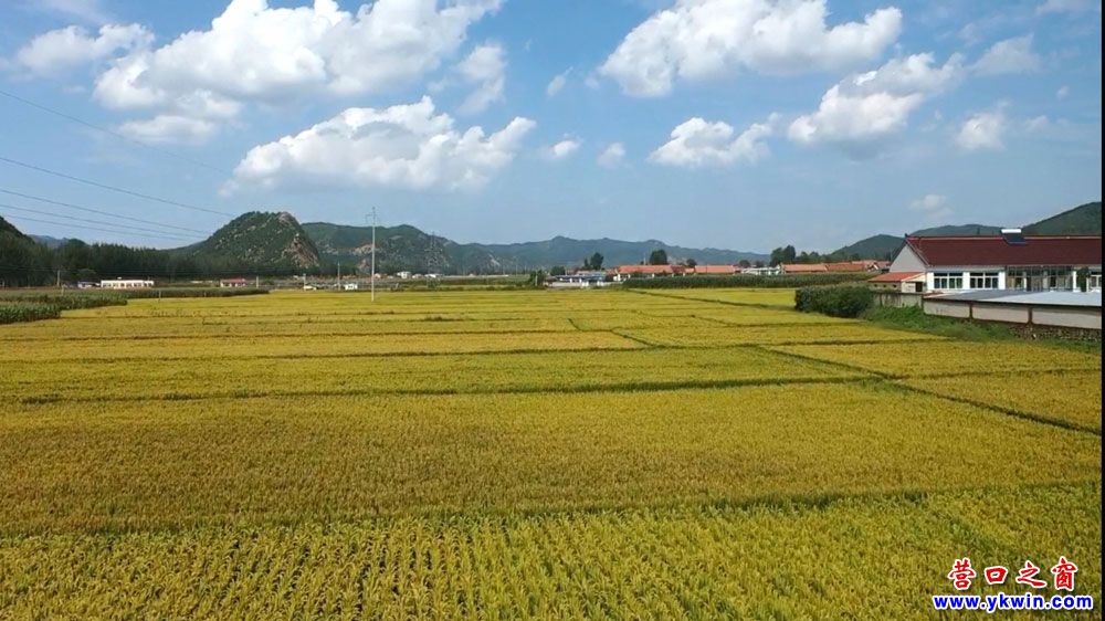 營口大石橋市建一鎮路公村