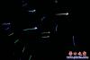 炫酷風箏閃爍夜空5