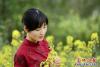 油菜花開迷人眼4