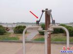 西市區：及時維修健身器材 贏得市民稱贊