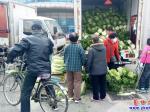 營口市大菜市：白菜蘿卜蔥價格紀實