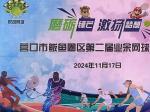 營口：鲅魚圈區(qū)網(wǎng)球賽掠影